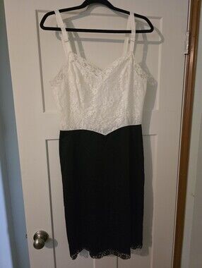 Vintage Made In USA Van Raalte Lace Slip Dress Size 38A